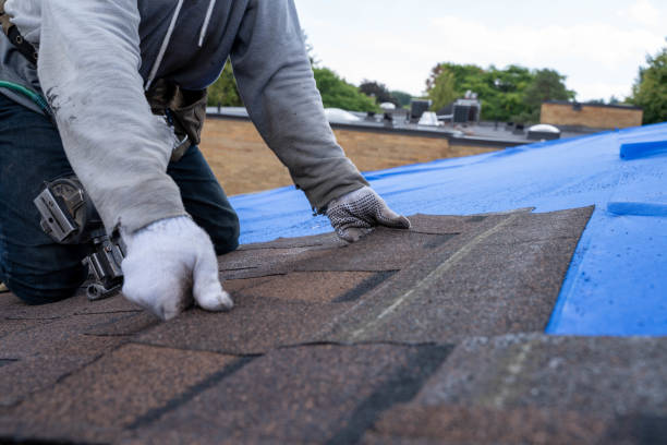 Best Roof Ventilation Installation  in Amelia, OH