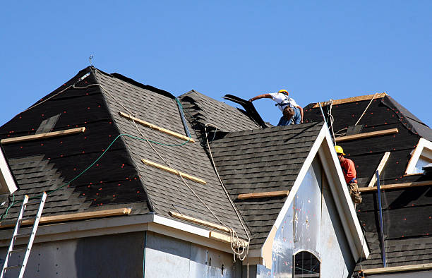 Best Roof Insulation Installation  in Amelia, OH